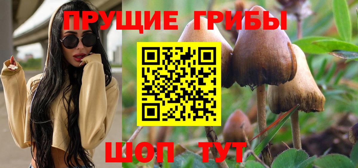 Псилоцибиновые грибы Psilocybine cubensis  Вход с VPN  Артём 