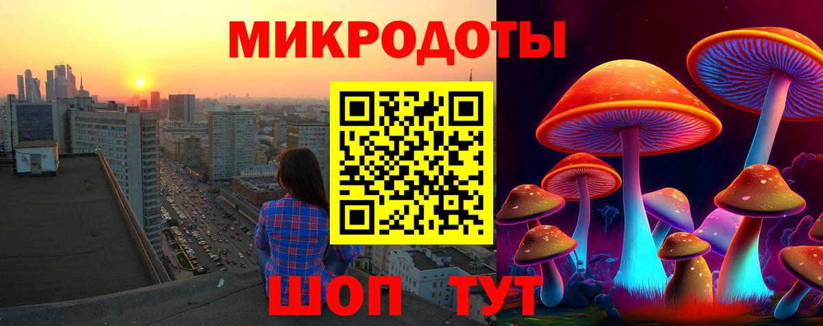 Псилоцибиновые грибы GOLDEN TEACHER Артём